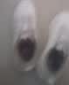 足力健老人鞋王丽云同款丨女鞋秋季新款妈妈鞋轻便舒适休闲鞋米棕色39 实拍图