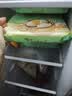 陶陶居金莎虾仁红米肠粉300g  广式茶楼点心早餐半成品速冻空气炸锅 实拍图
