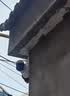 镭威视4g太阳能摄像头终身免流量AI室外免插电无电无网手机远程户外监控器家用360度无死角高清全景夜视 实拍图