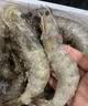东上御品虾 青岛大虾基围虾鲜活青虾白虾海虾对虾冰虾冻虾生鲜 虾类 海鲜 3斤(净重)  气冻大虾【活虾速冻】 15-18cm【单只超大虾】 实拍图