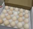 一诺有机大银鱼 (10cm）净重500g固形物≥80%无骨无刺面条鱼宝宝辅食 实拍图