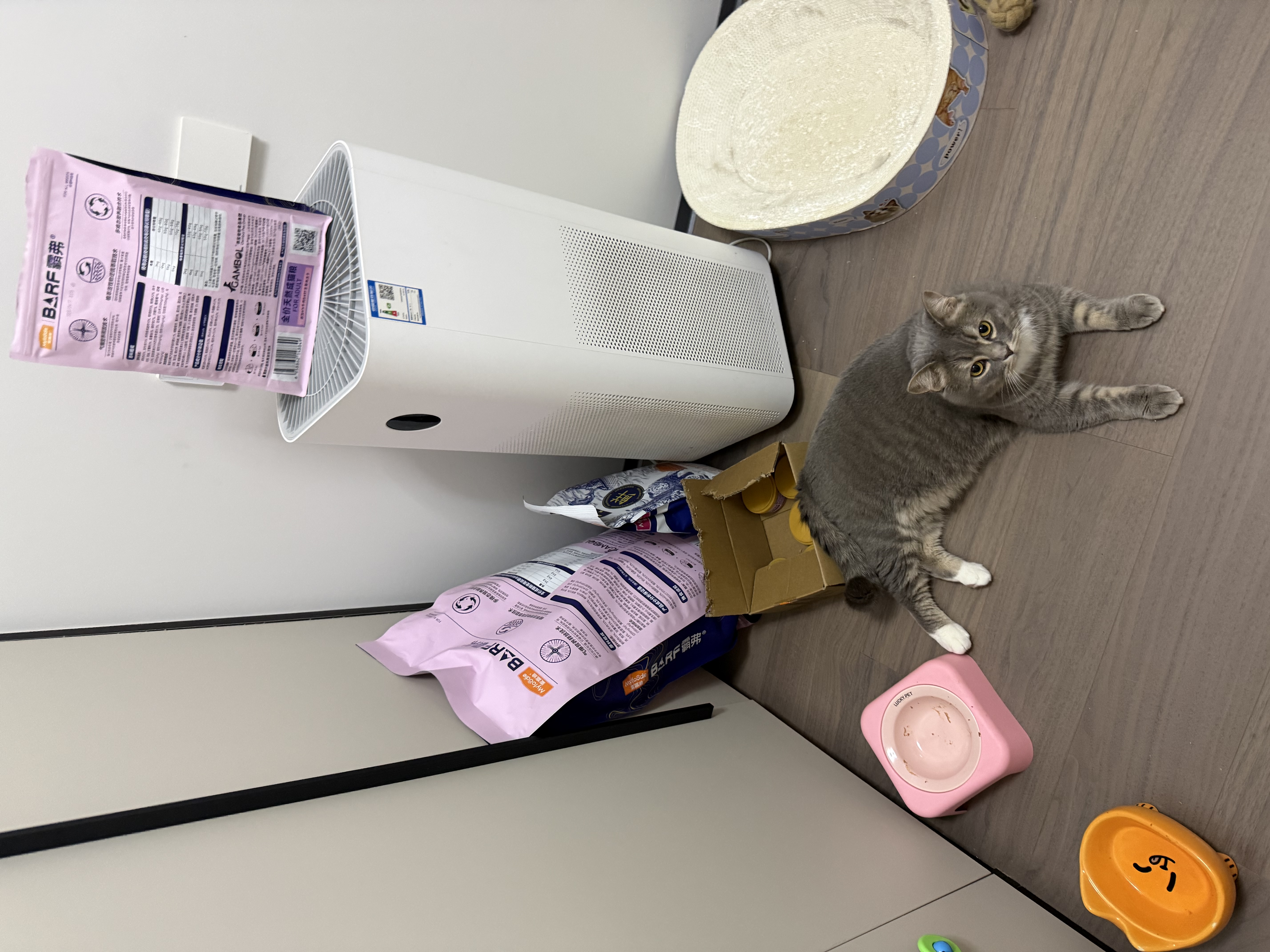 麦富迪猫粮 barf霸弗天然猫粮冻干生骨肉高蛋白成猫粮养胃增肌牛肉5.4kg 实拍图