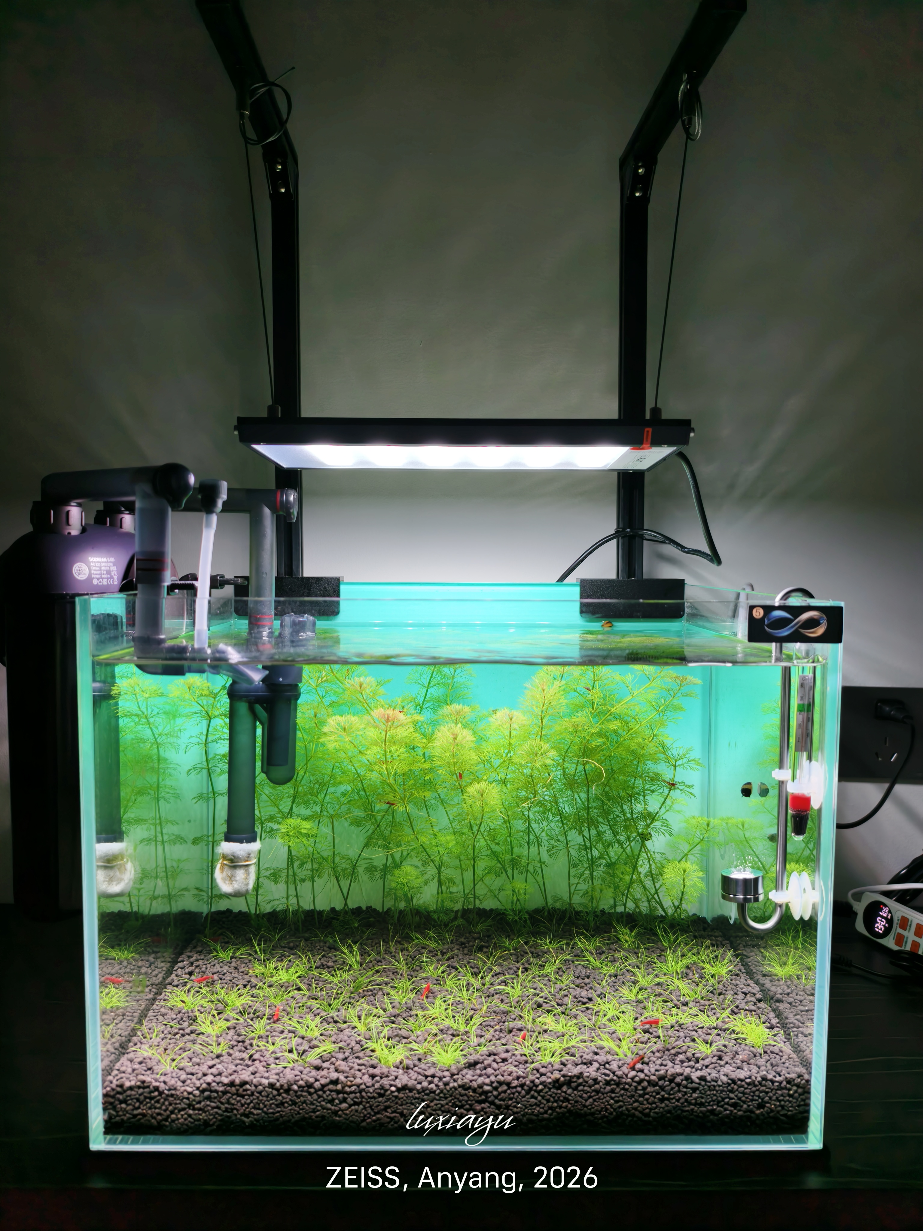 尼特利AT5S水草灯530S专业级全光谱led伸缩鱼缸灯专用植物补光灯 实拍图