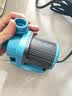 创宁水陆两用变频水泵静音过滤循环潜水泵CN9500-13W 10档流量调节 实拍图