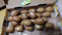 佳沛（zespri）金奇异果25-27粒原箱特大果124-146g猕猴桃水果礼盒 实拍图