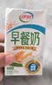 伊利早餐奶核桃味 250ml*24盒 优选核桃早餐伴侣 礼盒装 实拍图