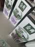 伊利金典高钙低脂纯牛奶整箱250ml*12盒 3.6g乳蛋白 礼盒装 实拍图