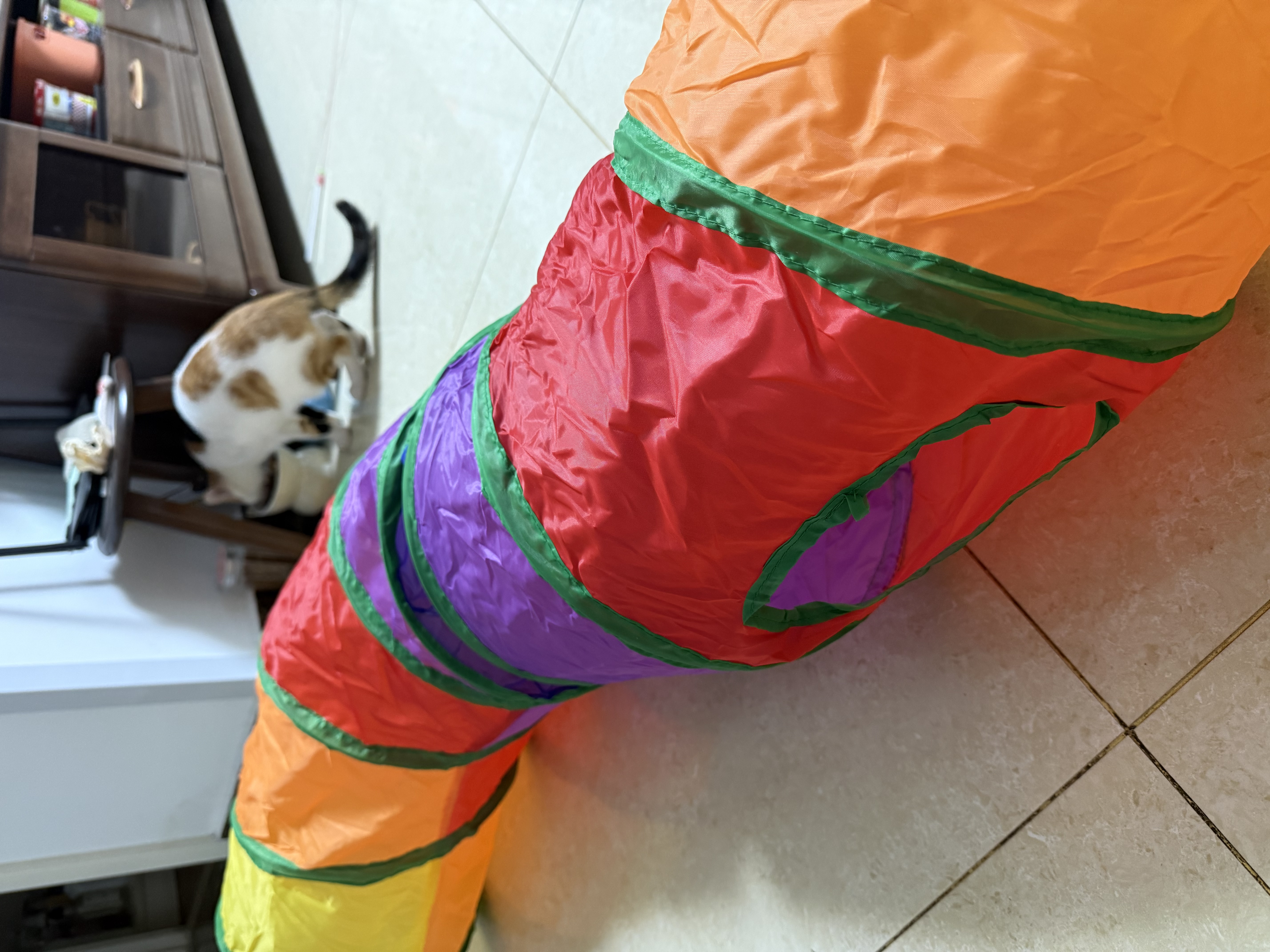 光多拉彩虹猫隧道加长125cm带逗猫球自嗨解闷钻洞迷宫小猫咪玩具可折叠 实拍图