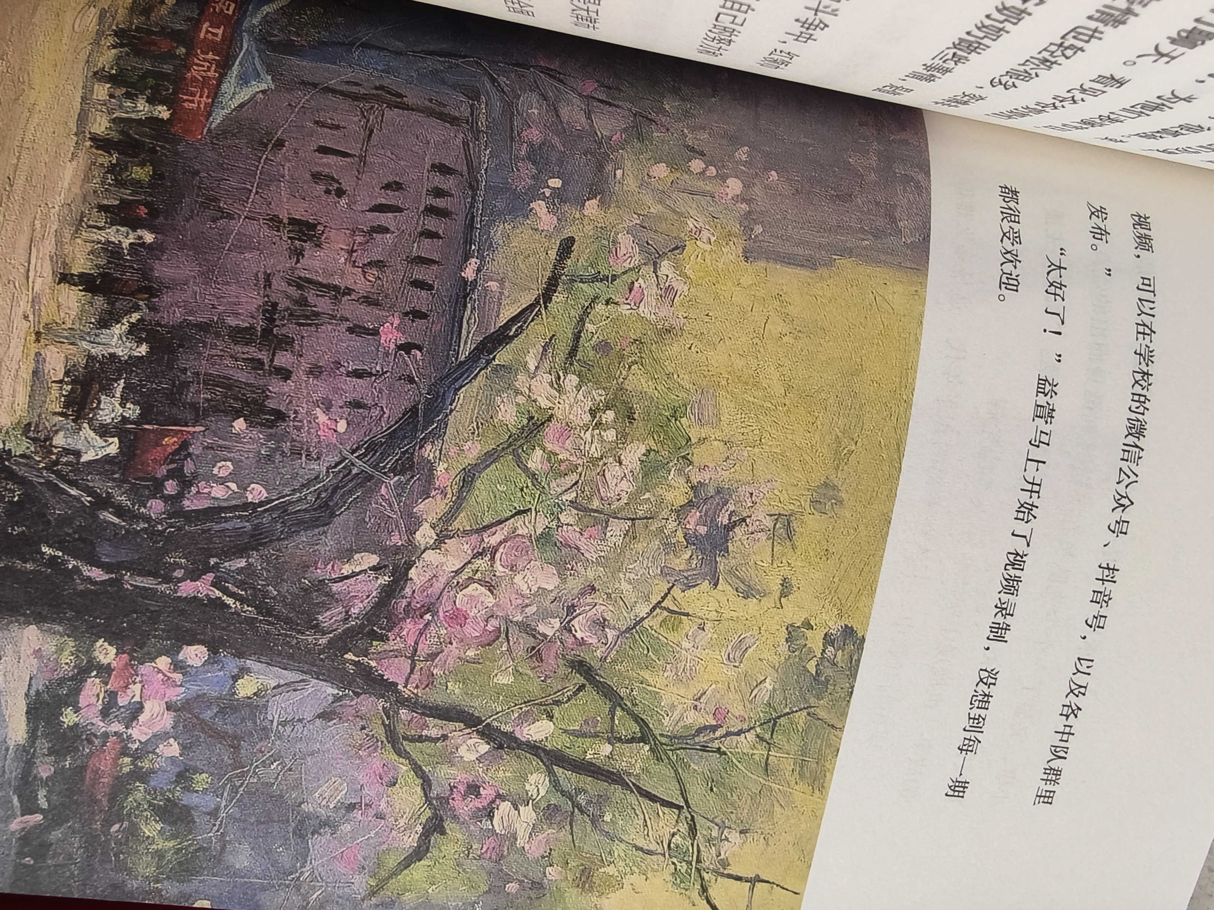 一百岁的红领巾【平装】（著名儿童文学作家董宏猷作品）7-10岁  实拍图