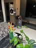 戴森（DYSON）【新品】BP10空气净化器消毒机 低分贝全屋循环 除甲醛除菌去除宠物异味医护级 实拍图