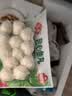 安井锁鲜装包心鱼丸 240g 鱼糜含量≥40% 火锅关东煮麻辣烫丸料食材 实拍图