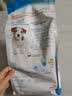 皇家狗粮 幼犬狗粮 宠物 小型犬 MIJ31 全价犬粮 2-10月 2KG 实拍图