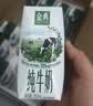 伊利金典3.8g乳蛋白鲜活纯牛奶250ml*8INF工艺30天常温短保礼盒装 实拍图