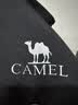 骆驼（CAMEL）速干透气短裤男女士直筒宽松户外休闲运动五分裤子夏季，男款XL 实拍图