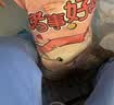 百草味零食大礼包抱开心3013g女友儿童生日送礼团购出游坚果混发 实拍图