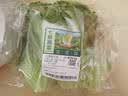 云南鲜生菜约400g 实拍图