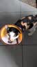 皇家搭档猫罐头猫零食鸡肉丝鱼油蔓越莓金枪鱼丝三种口味混合85g*6罐 实拍图