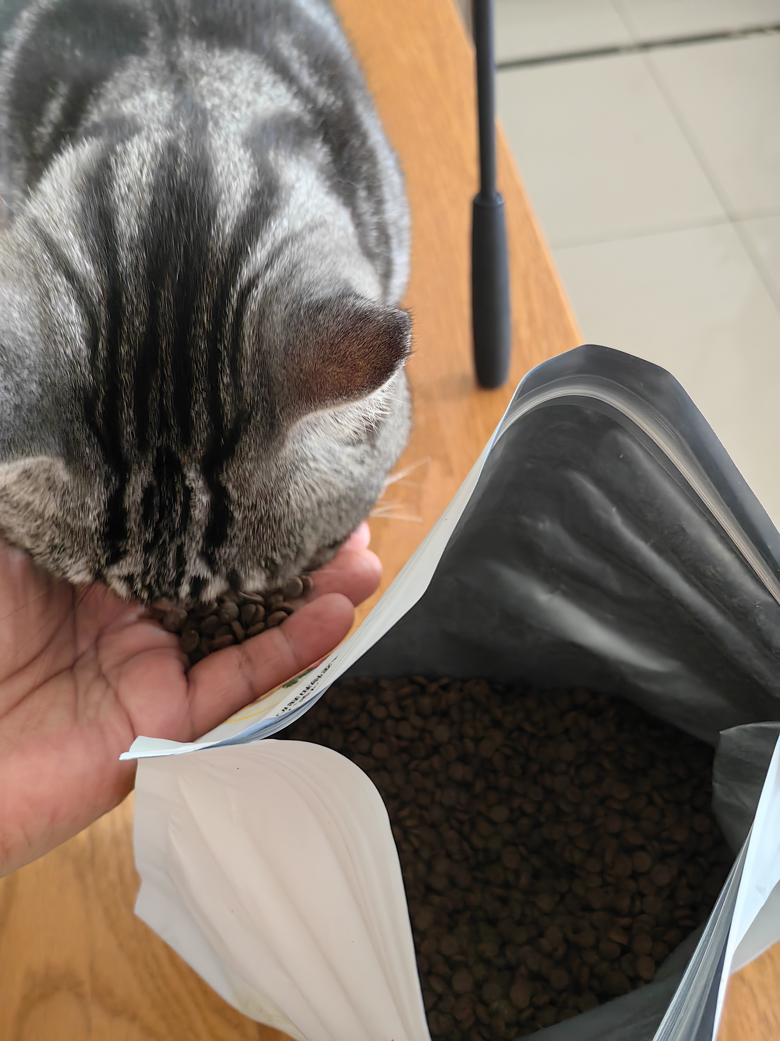 诚实一口P40全价猫粮成猫幼猫室内外80%鲜肉高蛋白美毛鸡鱼味试吃装40g 实拍图