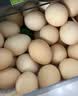 大码鲜鸡蛋1.8kg 实拍图