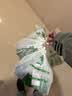 农夫山泉东方树叶茉莉花茶500ml*15瓶无糖茶饮料0糖0脂0卡整箱装 实拍图