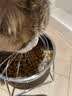 皇家（ROYAL CANIN）泌尿道处方猫粮LP34稀释尿液溶解鸟粪石结石猫全价处方粮1.5KG 实拍图