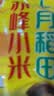 十月稻田 赤峰小米 1kg 内蒙古敖汉旗 黄小米杂粮 小米黄小米 中秋送礼 实拍图