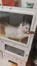 蔻丝猫笼子带厕所一体大猫透明猫别墅猫窝大号家用猫柜承重升级带猫草 实拍图