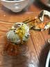 【活蟹】阳澄联合鲜活大闸蟹现货全母蟹 2.5-2.8两 10只生鲜螃蟹精品礼品盒 实拍图