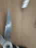 王麻子厨房剪刀 家用不锈钢剪鸡骨食物烤肉蔬菜剪骨刀 多功能食物剪刀 实拍图