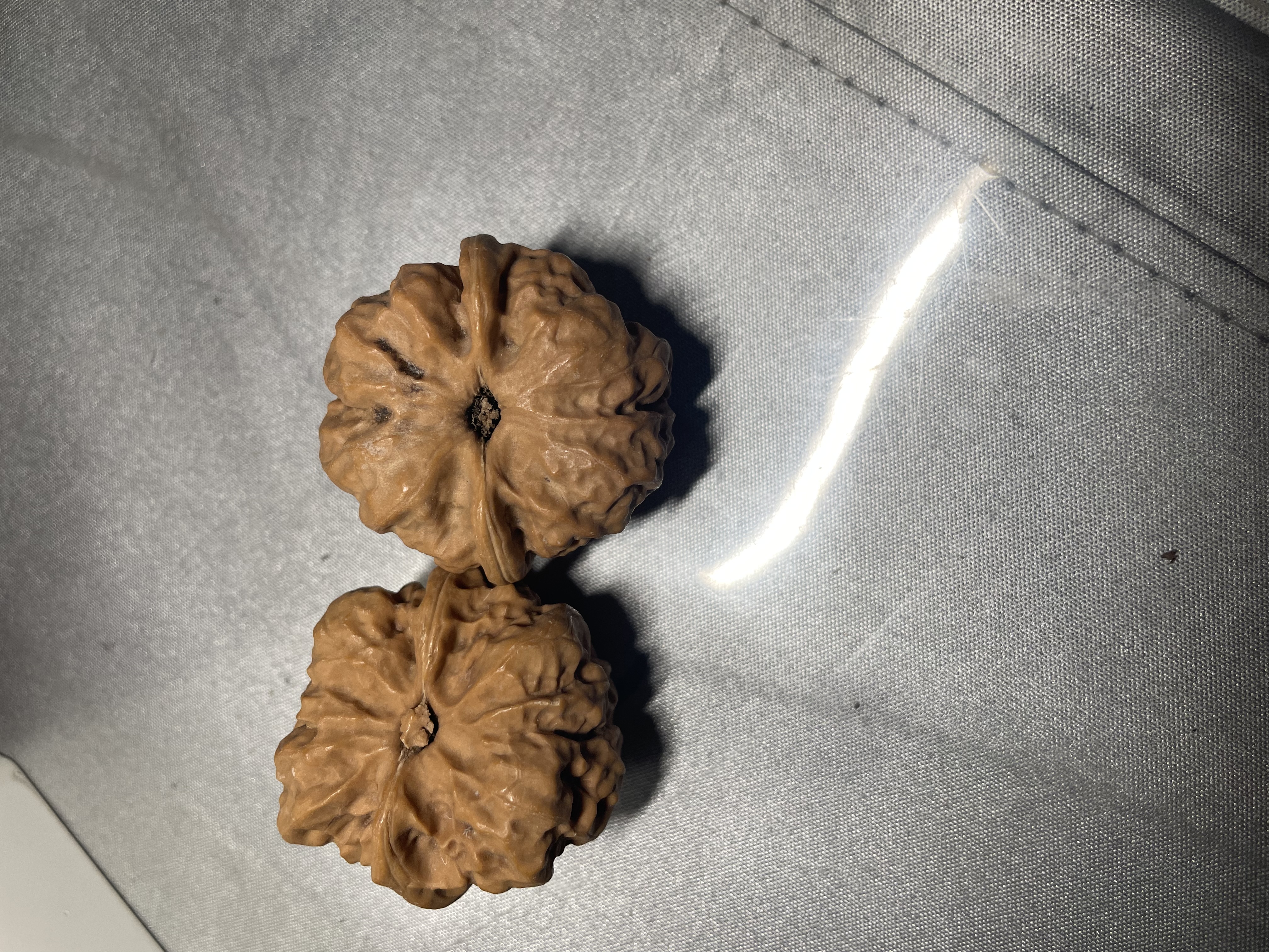 网红南瓜墩狮子头手把件 正宗平谷大磨盘荷叶底新手易盘走玛瑙红 随机核桃一对（新手入门级） 晒单实拍图