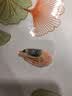 仁豪水产熟冻北极甜虾 净重1斤 60-85只/袋 即食冰虾 北极籽虾 国庆送礼品 实拍图