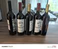 CANIS FAMILIARIS布多格智利原瓶进口红酒 干红葡萄酒 750ml 单瓶装 热门商品 实拍图