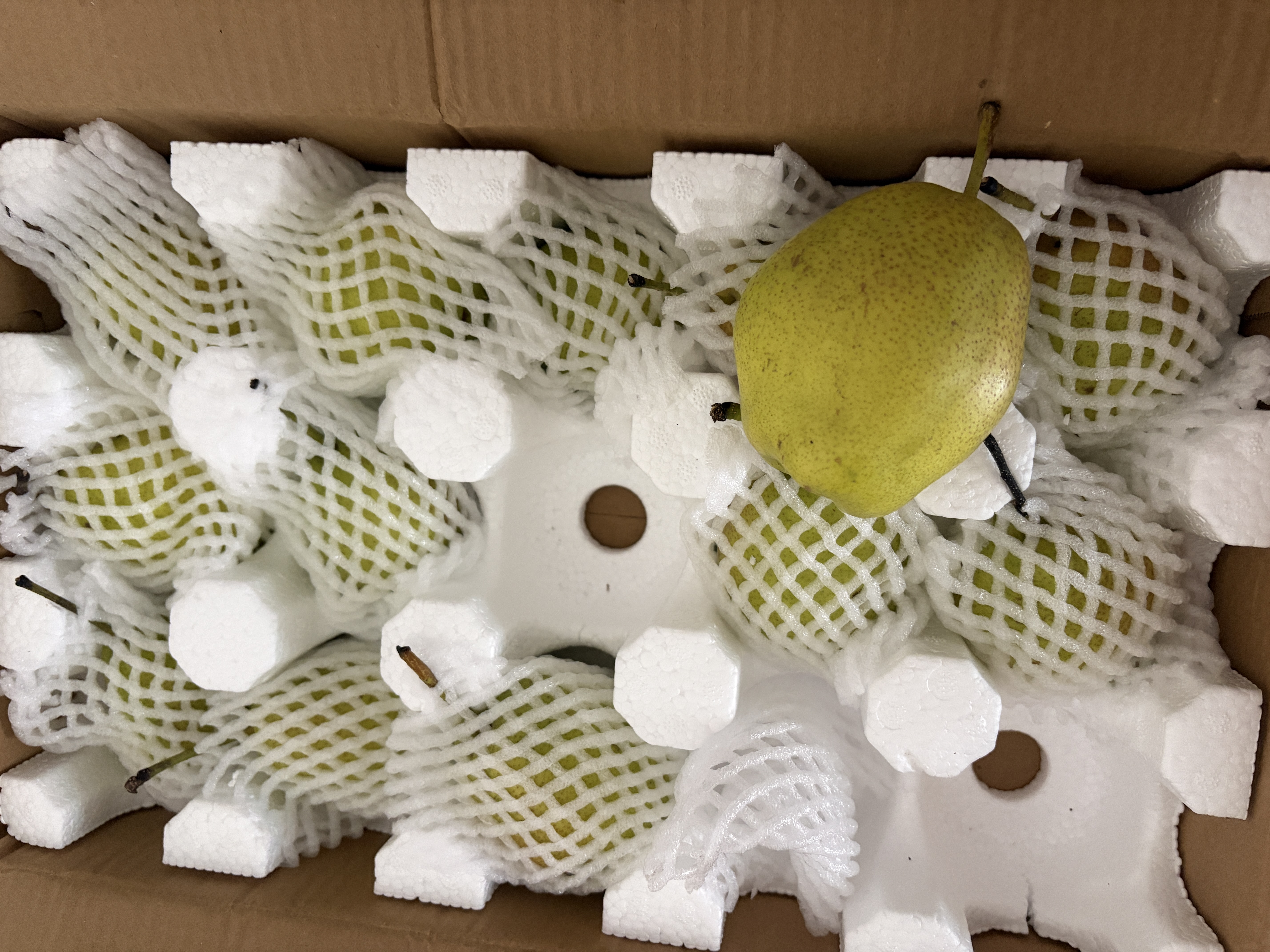 同甘园JD/顺丰梨雪梨雪花梨皮薄多汁脆甜贡梨当季孕妇山西水果 整箱5斤 精选150-200g 净重4.5斤 实拍图