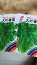 【限时优惠】随种随吃调料菜种子组合春季四季种耐热阳台盆栽蔬菜 大叶香菜种子2包约2000粒 一包约1000粒 实拍图