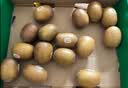 佳沛（zespri）新西兰 金奇异果特大果15粒134-146g猕猴桃水果礼盒 实拍图