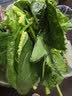 叶菜拼盘500g(菠菜叶+蒿子秆+生菜叶+娃娃菜) 实拍图