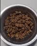 皇家狗粮 成犬狗粮 犬粮 宠物小型犬 PR27 全价犬粮≥10月2KG 实拍图