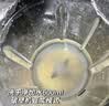 九阳（Joyoung）有钛破壁机家用轻音全自动多功能降噪预约豆浆机榨汁辅食机1.75L五谷杂粮3-5人金榜 Y915s 实拍图