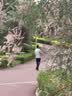 HLA海澜之家短袖衬衫男夏季轻商务衫及大码正装衬衣男漂白40 实拍图