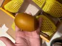 佳沛（zespri）新西兰 新果季 阳光金奇异果12粒特大果单果124-146g 猕猴桃 实拍图