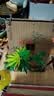 童话小镇积木拼装房子别墅小屋模型女孩拼搭玩具6-14岁生日礼物 森林木屋【1486颗粒】热销推荐 实拍图
