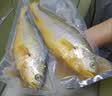 海名威 冷冻黄花鱼700g/2条装 宁德大黄鱼 海鱼 生鲜鱼类 海鲜水产 实拍图