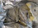 阿宽 红油面皮 非油炸麻酱方便面干拌面红油凉皮麻酱味 480g*2提泡面 实拍图