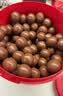 麦提莎（Maltesers）麦芽脆心牛奶巧克力 桶装520g 桶装 休闲零食 糖果 生日礼物 送礼 实拍图