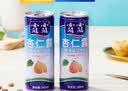 露露杏仁露经典款310ml*15罐整箱 早餐增量装出游聚餐 实拍图