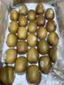 佳沛（zespri）新西兰金奇异果22粒巨大原箱146-175g猕猴桃水果礼盒 实拍图