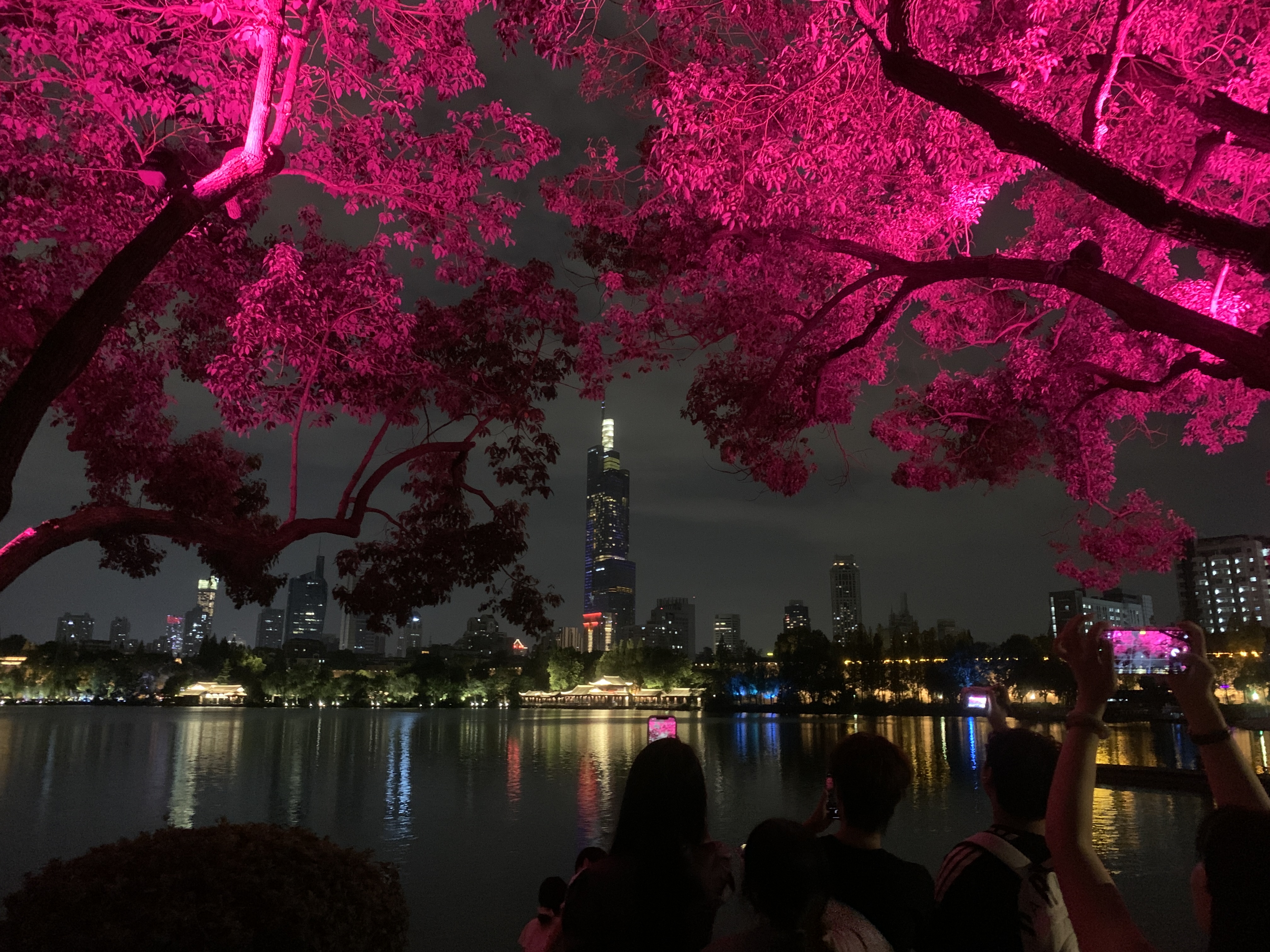 大疆 DJI Osmo Pocket 4 一英寸口袋云台相机 OP灵眸手持数码相机 旅游vlog 便携美颜摄像 标准套装 实拍图