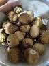 西域美农 无花果干500g 自然原色无花果 可做休闲零食即食泡水滋补煲汤 实拍图