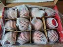 京鲜生山东栖霞红富士苹果 12粒 净重5斤 单果190g-240g 生鲜中秋礼盒 实拍图