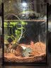 臻的养鱼氧气泵小型鱼缸增氧泵增氧机充氧泵家用加氧泵气泵迷你水族箱 2023可挂可吸款白色新款（标配） 实拍图